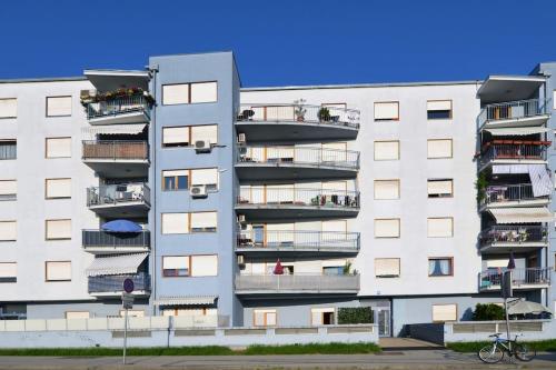 Cute and Cosy apartment