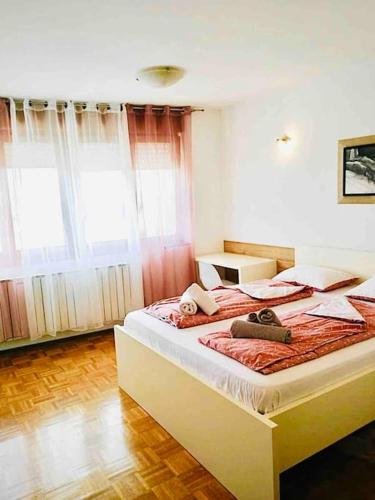 Cute and Cosy apartment