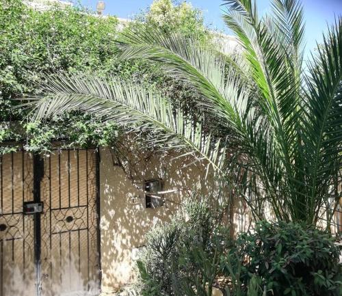 a building with a gate and palm trees at JasminVilla in Sousse