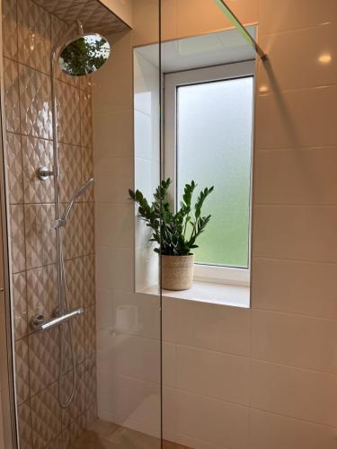 ein Bad mit einer Dusche und einer Pflanze am Fenster in der Unterkunft Palova green in Vigale