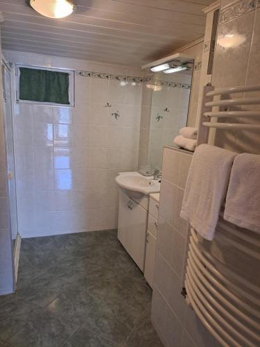 La salle de bains est pourvue d'un lavabo et d'une douche. dans l'établissement Ferienhaus Fabio, à Thürnthal