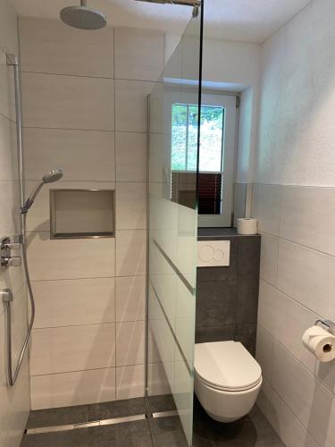 uma casa de banho com um WC e uma cabina de duche em vidro. em Haus Barbara em Ochsengarten