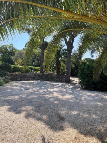 Κήπος έξω από το Paradis Provençal