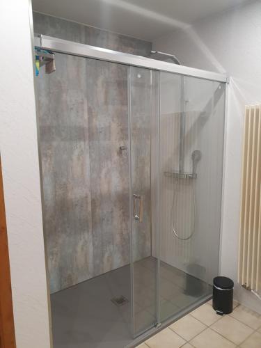 a shower with a glass door in a bathroom at Vakantiehuis d'Heye in Mispelburg