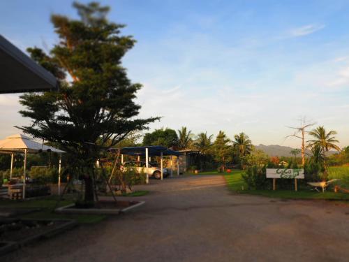 a tree sitting in the middle of a driveway at Coco Coozy in Kanchanaburi