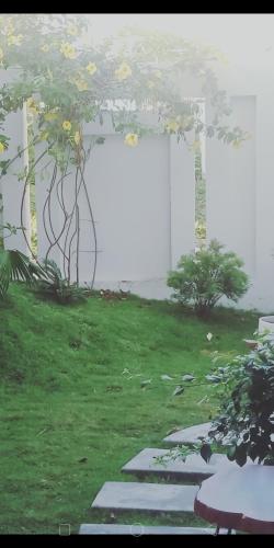 einen Garten mit einem Steinweg im Gras in der Unterkunft TRANG DOAN'S HOMESTAY in Ấp Tân Bình (2)