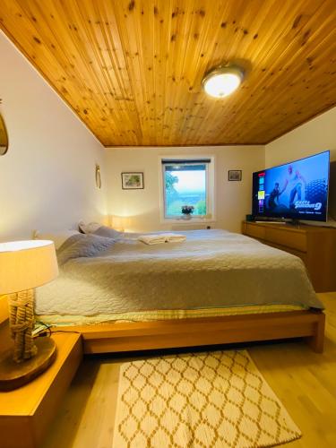 a bedroom with a large bed and a flat screen tv at Brunns Lake House in Ulricehamn