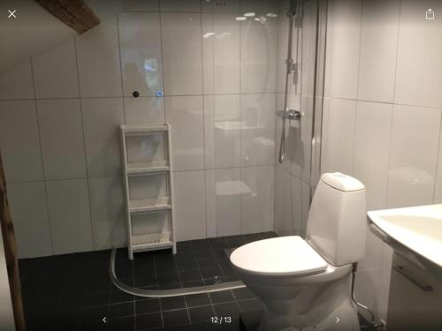 La salle de bains est pourvue d'une douche, de toilettes et d'un lavabo. dans l'établissement BB Snäckan Hönö, à Hönö