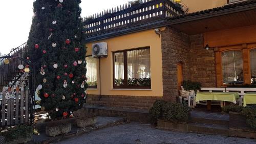 Aurora al Lago – Photos 2
