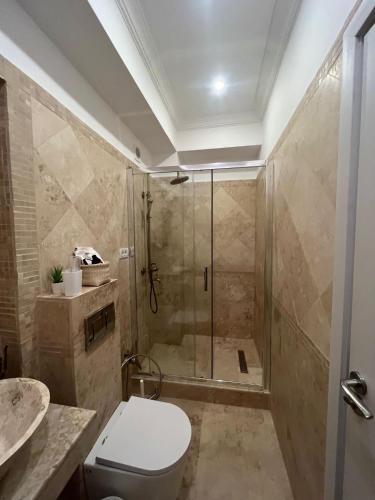 a bathroom with a shower and a toilet and a sink at Ami Residence Bucharest Airport,Therme&FREE PARKING Otopeni in Otopeni