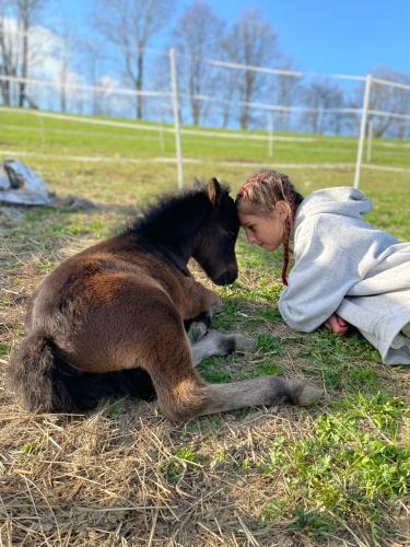 a young girl laying on the ground next to a horse at Chata u Kostela in Dolni Misecky