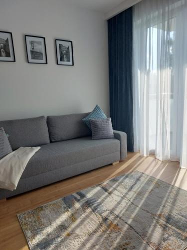 a living room with a couch and a rug at La Casa in Piotrków Trybunalski