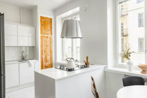 Kuchyň nebo kuchyňský kout v ubytování Airy and Bright one-Bedroom apt