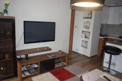 TV a/nebo společenská místnost v ubytování Żabia Flat