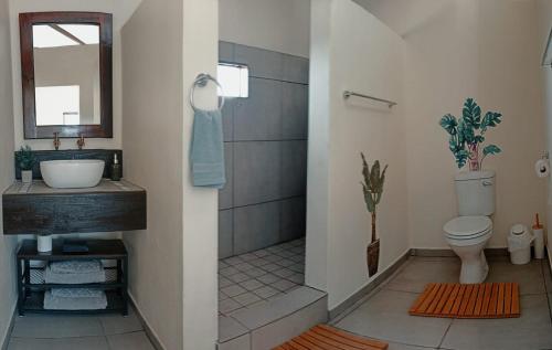 uma casa de banho com um chuveiro, um lavatório e um WC. em Droëdap Guest Farm em Springbok
