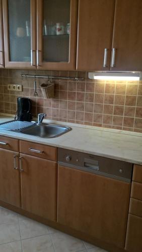 a kitchen with a sink and a counter top at Apartmany Žatec in Žatec