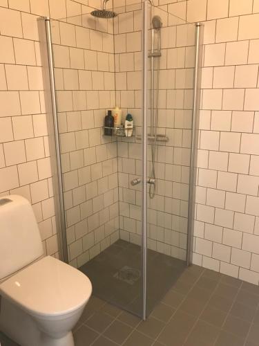 a bathroom with a shower with a toilet at Lottas Beautiful Penthouse Apartment in Malmö