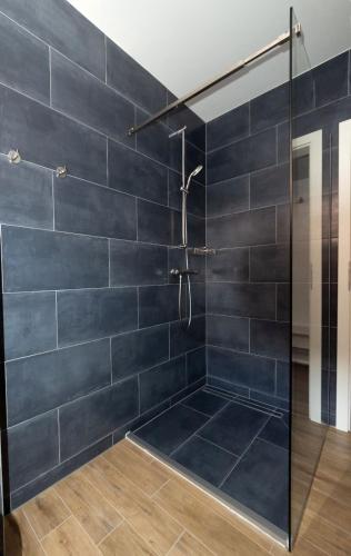 a bathroom with a shower with black tiles at Jagerhof in Râşnov