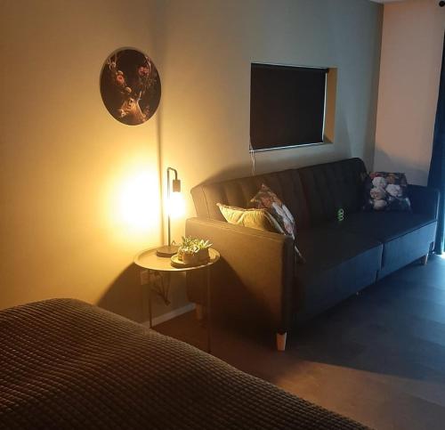 een woonkamer met een bank en een tafel met een lamp bij Grutsk op 12 in Drachten