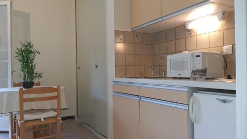 une petite cuisine avec un évier et un micro-ondes dans l'établissement Studio Amèlie les bains, à Amélie-les-Bains-Palalda
