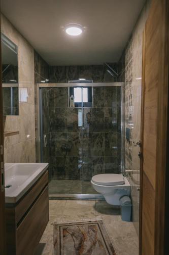La salle de bains est pourvue d'une douche, de toilettes et d'un lavabo. dans l'établissement Sapanca ÇarkTaşEv, à Sapanca
