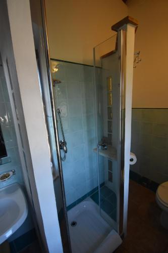 a bathroom with a shower and a sink and a toilet at Falesta in Casole dʼElsa