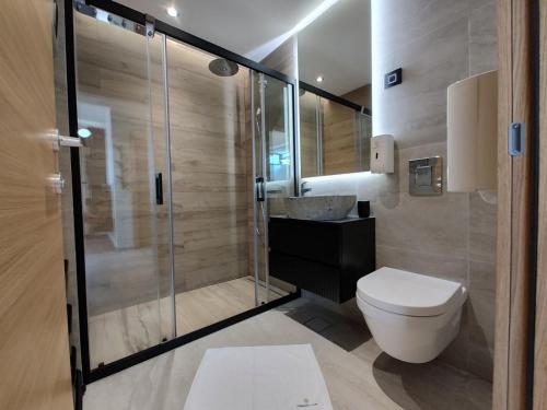 a bathroom with a shower and a toilet and a sink at Anthracite life & spa Zlatibor in Zlatibor