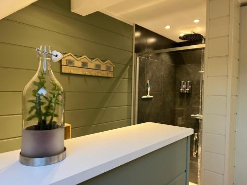 a bathroom with a glass bottle with a plant on a counter at Le repos du Wayai in Theux
