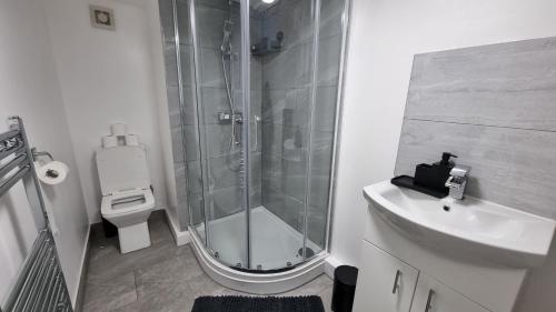 a bathroom with a shower and a toilet and a sink at Comfy Studio apartment with Wi-Fi and Smart TV in Leeds