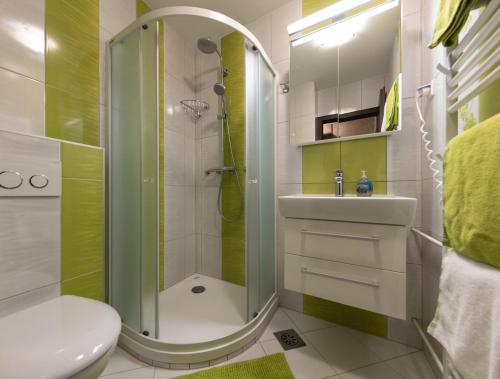 a bathroom with a shower and a toilet and a sink at Apartma Krvavec - cosy mountain retreat in Cerklje na Gorenjskem