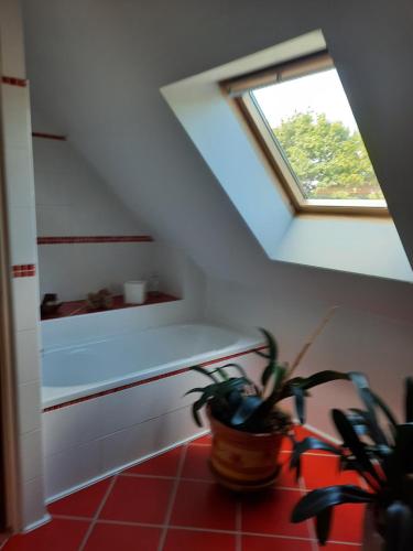 Pokój na poddaszu z oknem i doniczką w obiekcie Chambre à louer w mieście Goven