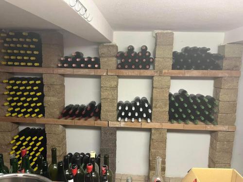 um monte de garrafas de vinho nas prateleiras de um quarto em Sebe apartments 1 em Holíč