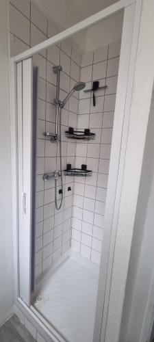 La salle de bains est pourvue d'une douche avec une porte en verre. dans l'établissement Appart hypercentre Château-Thierry aux portes de Paris et de la Champagne, à Château-Thierry