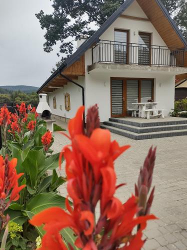 a house with red flowers in front of it at GuestHouse III in Lesko