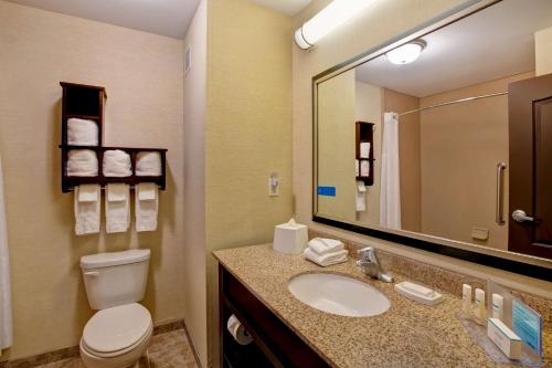 een badkamer met een toilet, een wastafel en een spiegel bij Hampton Inn Dekalb - Near the University in DeKalb