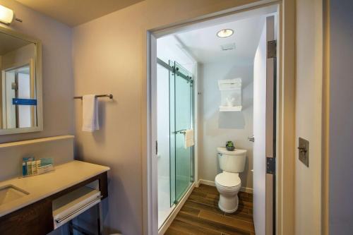 a bathroom with a toilet and a glass shower at Hampton Inn & Suites/Foxborough/Mansfield in Foxborough