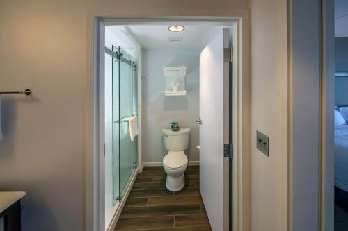 a bathroom with a toilet and a glass door at Hampton Inn & Suites/Foxborough/Mansfield in Foxborough