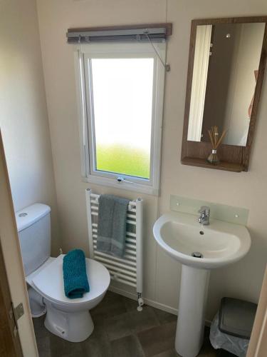 a bathroom with a sink and a toilet and a mirror at luxury caravan in Tattershall