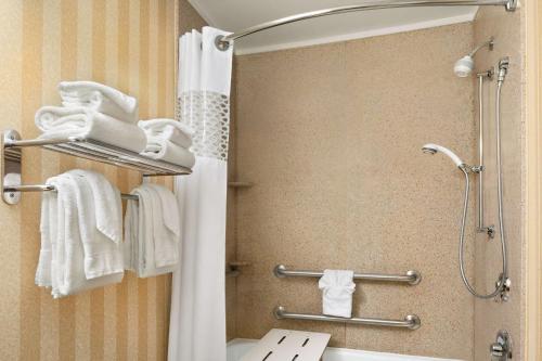 a bathroom with a shower and a sink and towels at Hampton Inn & Suites Detroit Sterling Heights in Sterling Heights