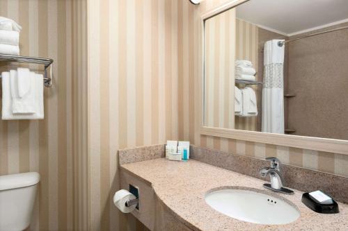 Bagno di Hampton Inn & Suites Detroit Sterling Heights