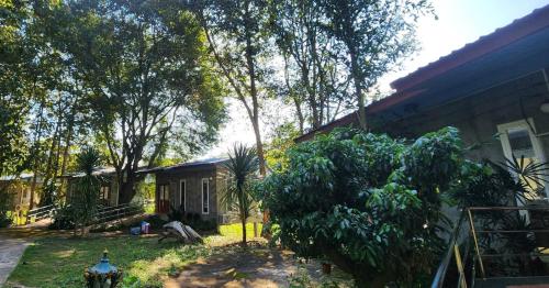 Zahrada ubytování Rimtharnn Homestay Maewin
