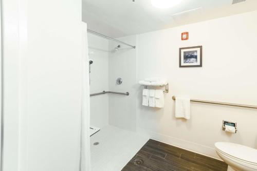 a bathroom with a toilet and a shower at Hampton Inn & Suites Huntsville Hampton Cove in Huntsville