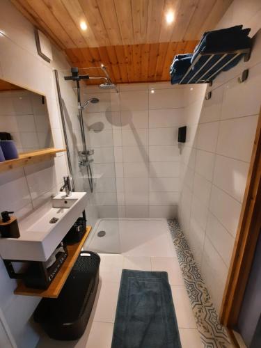 y baño con ducha y lavamanos. en B&B Paardenhof, en Wapenveld