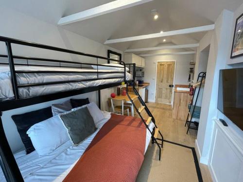 a bedroom with a bunk bed with a ladder at Merryfield Lodge in Kent