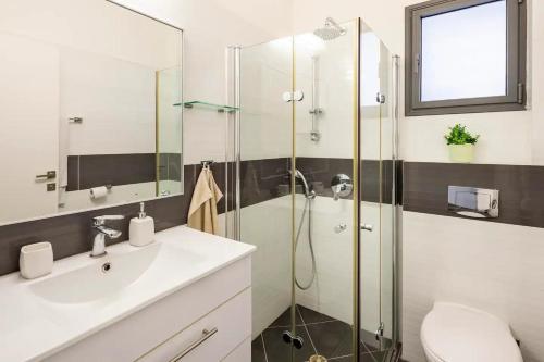 La salle de bains est pourvue d'une douche en verre et d'un lavabo. dans l'établissement Luxury Oasis Tel Aviv Beach, à Tel Aviv