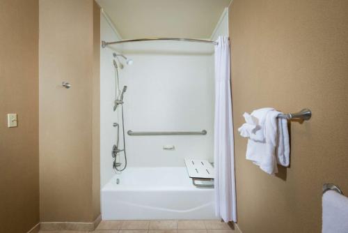 a bathroom with a shower and a white tub at Hampton Inn Tuscaloosa-University in Tuscaloosa