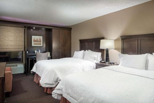 a hotel room with two beds and a television at Hampton Inn Tuscaloosa-University in Tuscaloosa
