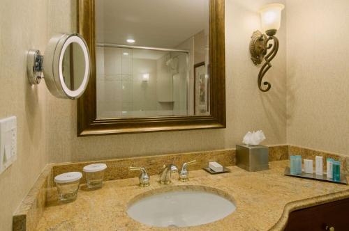 a bathroom with a sink and a mirror at DoubleTree by Hilton Lisle Naperville in Lisle