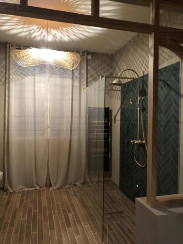 a bathroom with a shower and a chandelier at Le Grenier à Sel in Châlons-en-Champagne