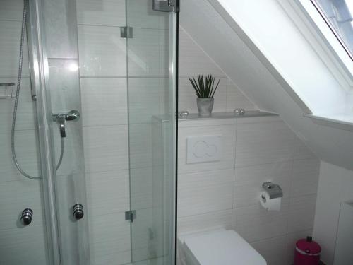 Mildstedtにある"Haus Schuldt"のトイレとガラスのシャワー付きのバスルーム